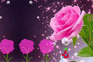 �ӳ�õ������