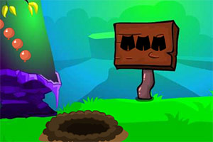 Ӫ�ȱ���ʨ��