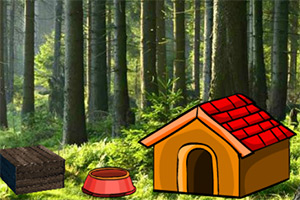 ��Ԯ���ܲ�