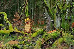 ������������