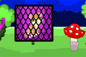 Ӫ��Ư����è��