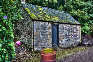 Ѱ������ı���