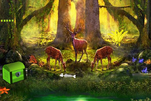 ��������׷��