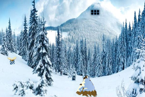 Ѱʥ�����˵�ѩ��