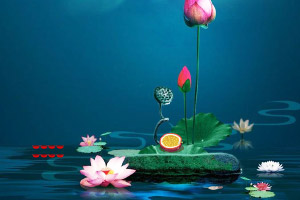 ����ɻ���