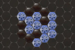 ��ת������