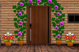 ���밬�׵ļ�