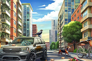 ����������