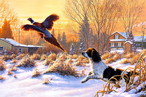 Ȥζ����ƴͼ