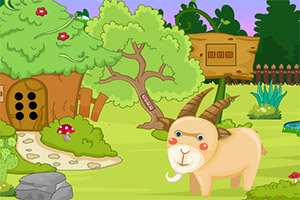 ��Ԯ�����ɽ��