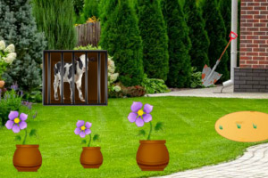 �������е���ţ