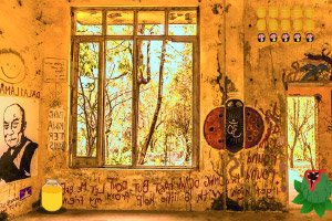 ����Ѽ����