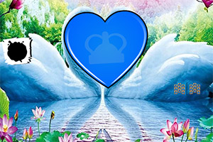 ���������