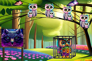 ��Ԯ��ס��èͷӥ