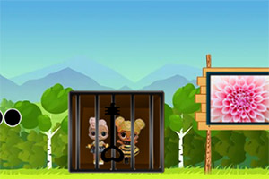 ��Ԯ��ż��