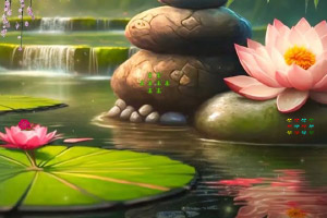 ��Ů�������