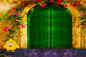 ����Ŷ���