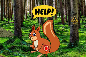 �������������