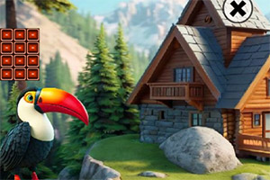 �����ڸǵĴ���