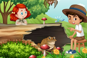 ��Ȼ�羰�Ľ���