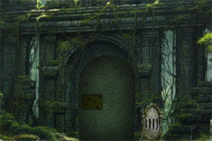 ��Ԯ������������