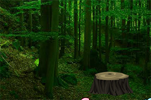 ��Ԯ��������