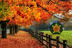 ������Ѱ����