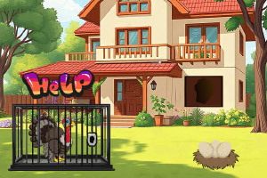 ��𼦱�������