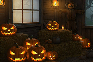 �����������