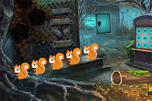 ��Ԯ��������