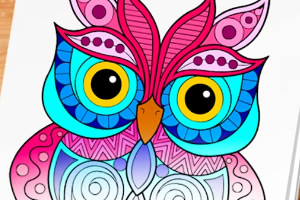 èͷӥ�ʻ���