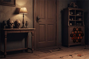 ��ȿ��ĵ�Ů��ʿ