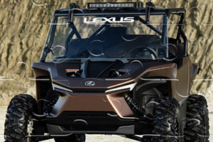 �׿���˹����ԽҰƴͼ