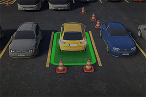 ��ʵͣ��ģ����