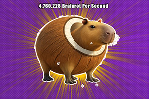 ������������