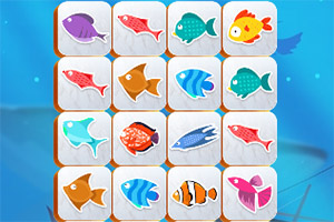 ���������