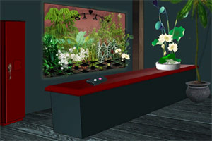 ���﷿������