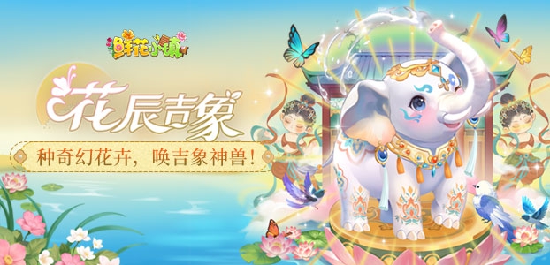 鲜花小镇