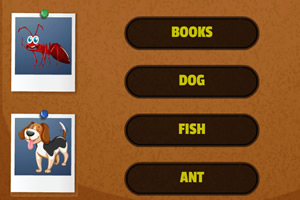 ͼƬѧϰ����2