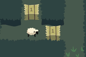 ��Ⱥ������