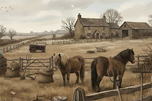 �ƾɵ�������