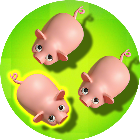 �Ⱦ�����